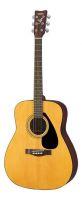 F310ii Acoustic Guitar