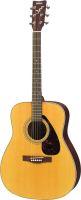 F370 Acoustic Guitar