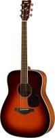 FG820 MKII Acoustic Guitar