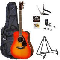 FG830 Acoustic Guitar Pack