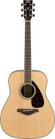 FG830 Acoustic Guitar