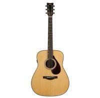 FG9 RX Acoustic Guitar