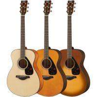 FS800 Mk II Acoustic Guitar