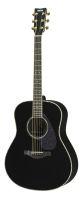 LL16D ARE Acoustic Guitar