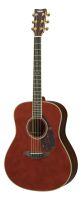 LL16 ARE Acoustic Guitar