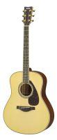 LL16M ARE Acoustic Guitar