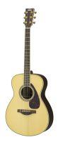 LS6 ARE Acoustic Guitar