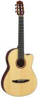 NCX5 Electro-Classical Guitar