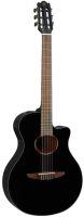 NTX1 Electro-Classical Guitar