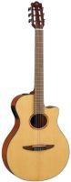 NTX1 Electro-Classical Guitar