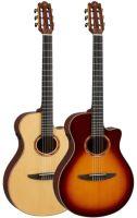 NTX3 Electro-Classical Guitar