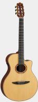 NTX3 Electro-Classical Guitar