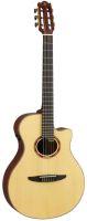 NTX5 Electro-Nylon Guitar