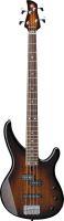 TRBX174EW Electric Bass in Exotic Wood