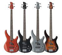 TRBX204 4-String Electric Bass Guitar