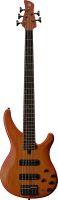 TRBX505 Electric 5-String Bass Guitar