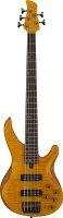 TRBX605FM 5-String Electric Bass Guitar In Matte Amber Finish