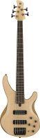 TRBX605FM 5-String Electric Bass Guitar In Natural Satin Finish