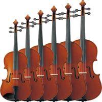 VA5S Viola Outfit - Various sizes
