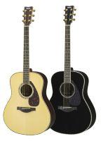 LL16D ARE Acoustic Guitar