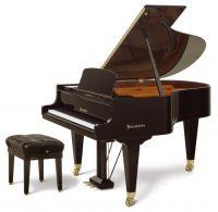 Grand Piano 170VC Disklavier Edition
