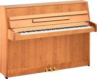 b1 Upright Piano