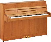 b1 Upright Piano