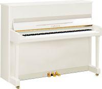 P116M Upright Piano