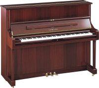U1 Upright Piano
