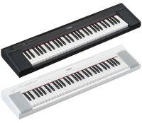 NP-15 Piaggero 61-Key Slimline Home Keyboard 