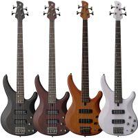 TRBX504 Electric 4-String Bass Guitar