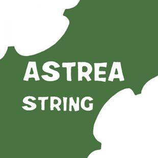 A (2nd) String 