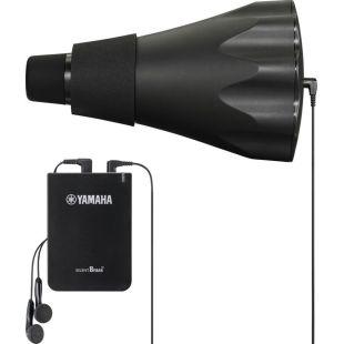 A Grade Refurbished SB3X Silent Brass System For French Horn