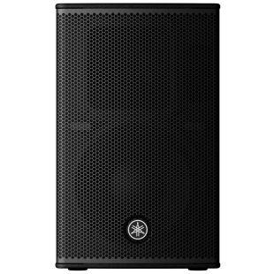 C Grade Refurbished DHR10 Loudspeaker