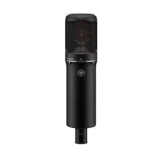 Large Diaphragm Condenser Microphone in Black
