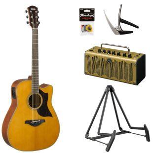 A1M Electro Acoustic Guitar Pack