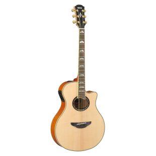 APX1000 Electro-Acoustic Guitar