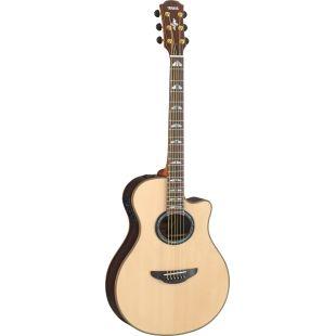 APX1200II Electro-Acoustic Guitar