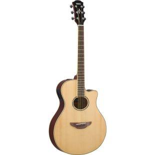 A Grade Refurbished APX600 Electro-Acoustic Guitar