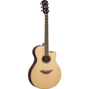 APX600 Electro-Acoustic Guitar