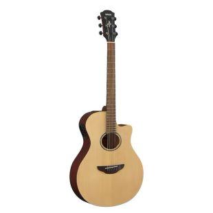A Grade Refurbished APX600M Electro-Acoustic Guitar