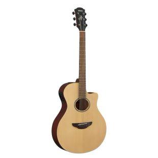 APX600M Electro-Acoustic Guitar