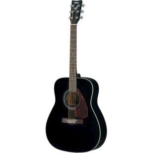 F370 Acoustic Guitar