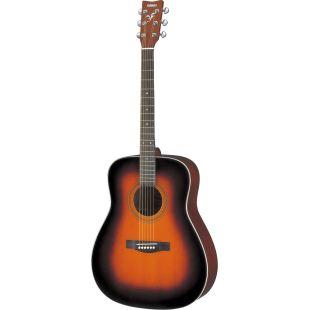 F370 Acoustic Guitar