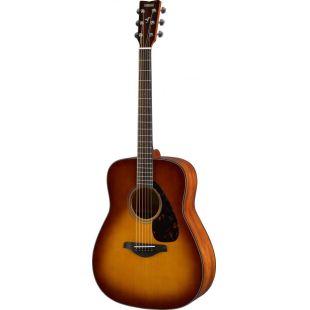 FG800 Mk II Acoustic Guitar