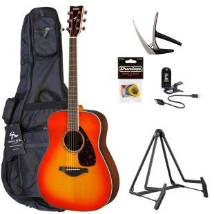 FG830 Acoustic Guitar Pack