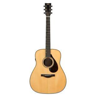 FG9 MX Acoustic Guitar