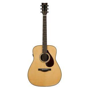 FG9 RX Acoustic Guitar