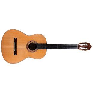 Friederich Cedar/Rosewood Acoustic Guitar