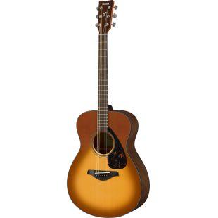 FS800 Mk II Acoustic Guitar